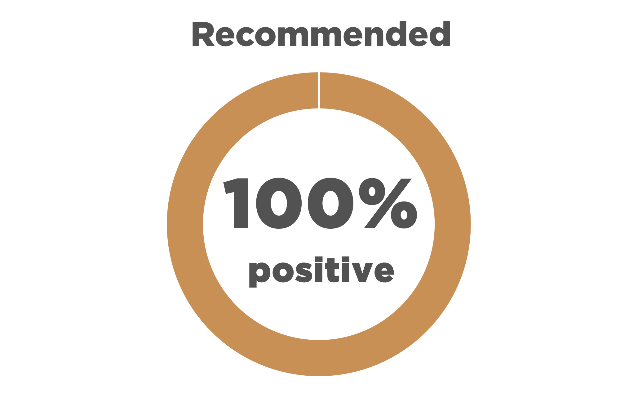 Text reads: "Recommended 100% positive" with a pie chart representing the statement